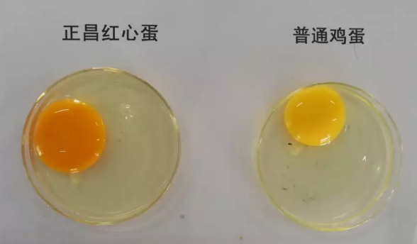 QQ截图20181115094806.png