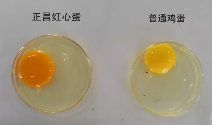 640.webp.jpg