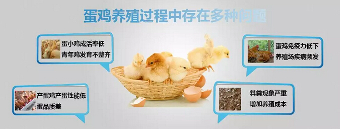 QQ截图20190425164917.jpg